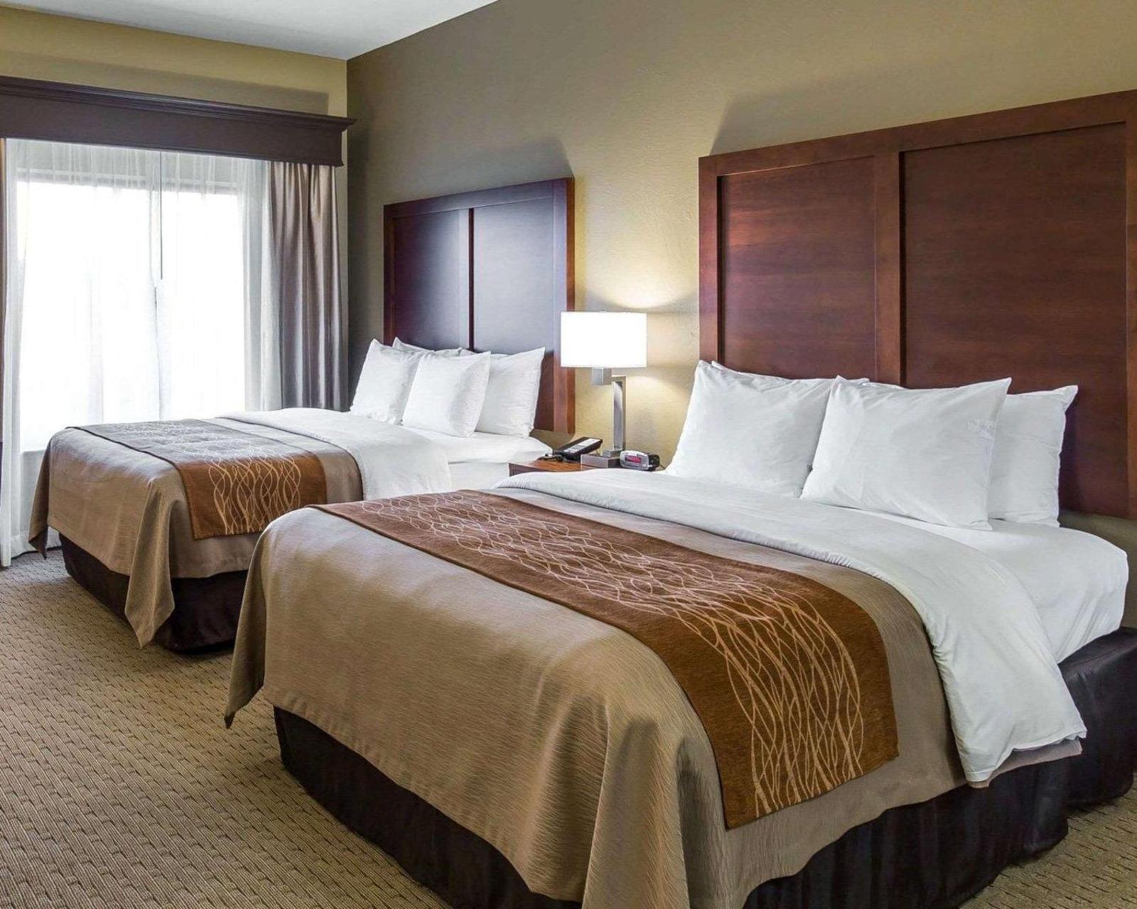 Comfort Inn & Executive Suites Naples Main image 2